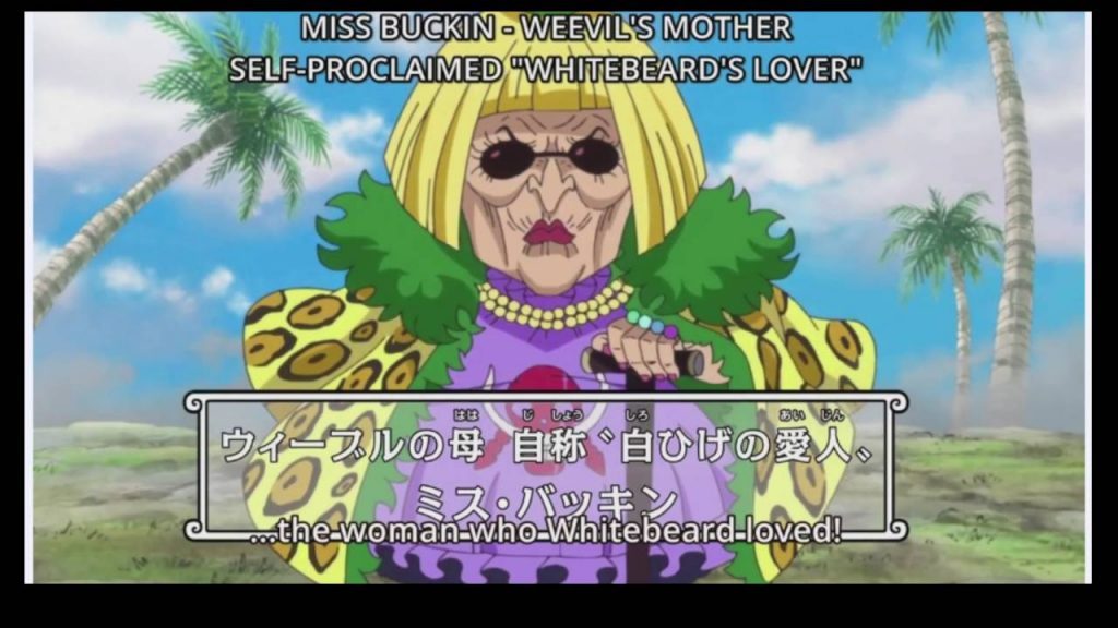 Top 10 Unsolved Mysteries In One Piece After The Time Skip Otakuani